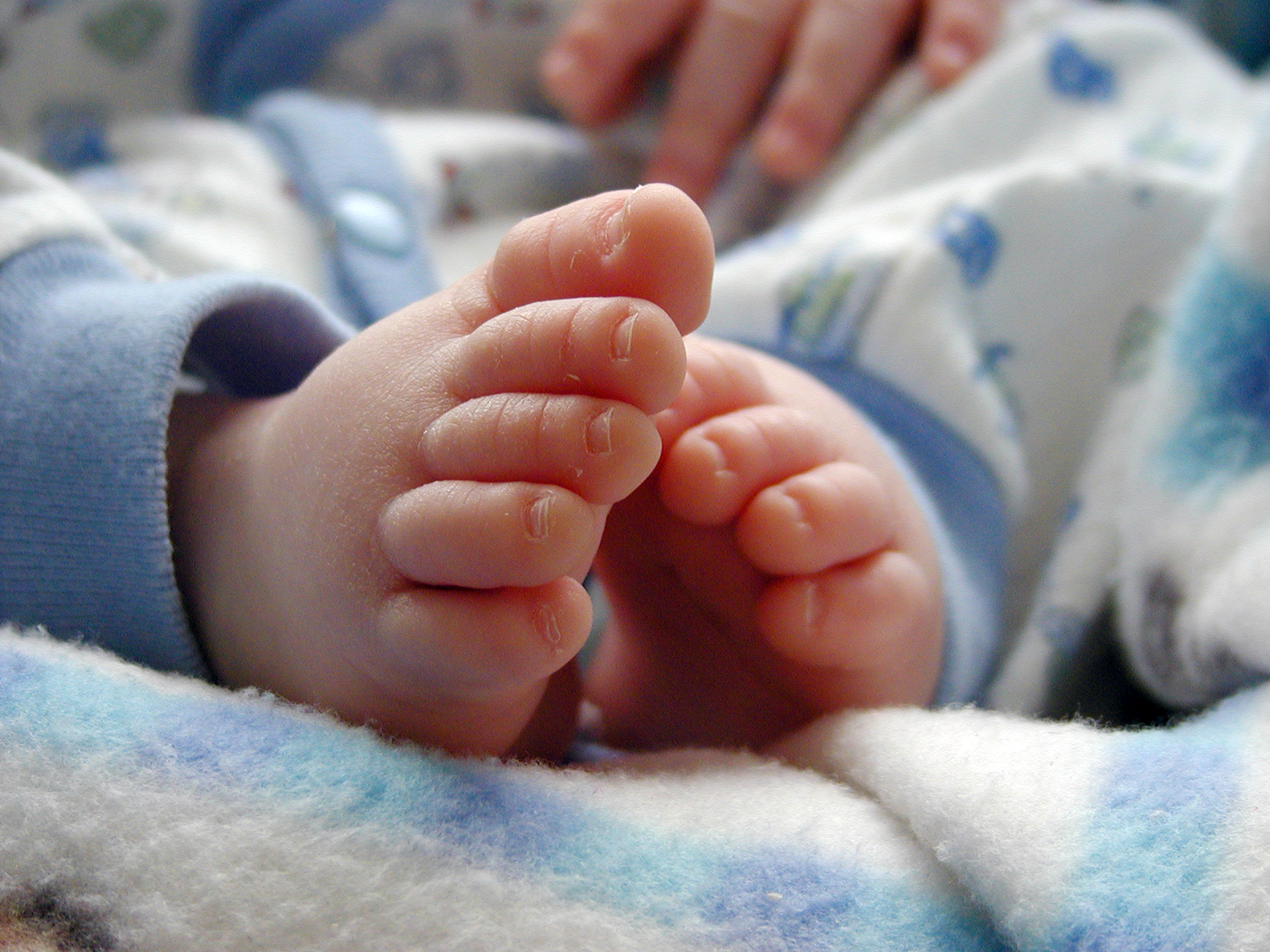 Ножки в 6 месяцев. Ножки малыша. Ножка новорожденного. Маленькие ножки ребенка. Пяточки новорожденного.